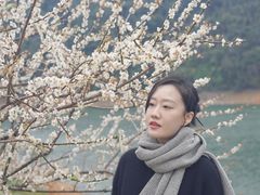 -广州市流溪河国家森林公园