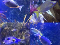 -太平洋海底世界