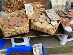 -海窝子古镇