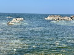 -养马岛旅游度假区