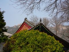 -青岛崂山太清宫