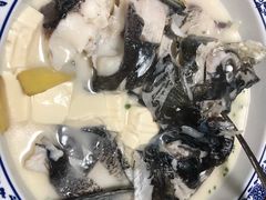 -全乐鱼馆·淳牌有机鱼直营店
