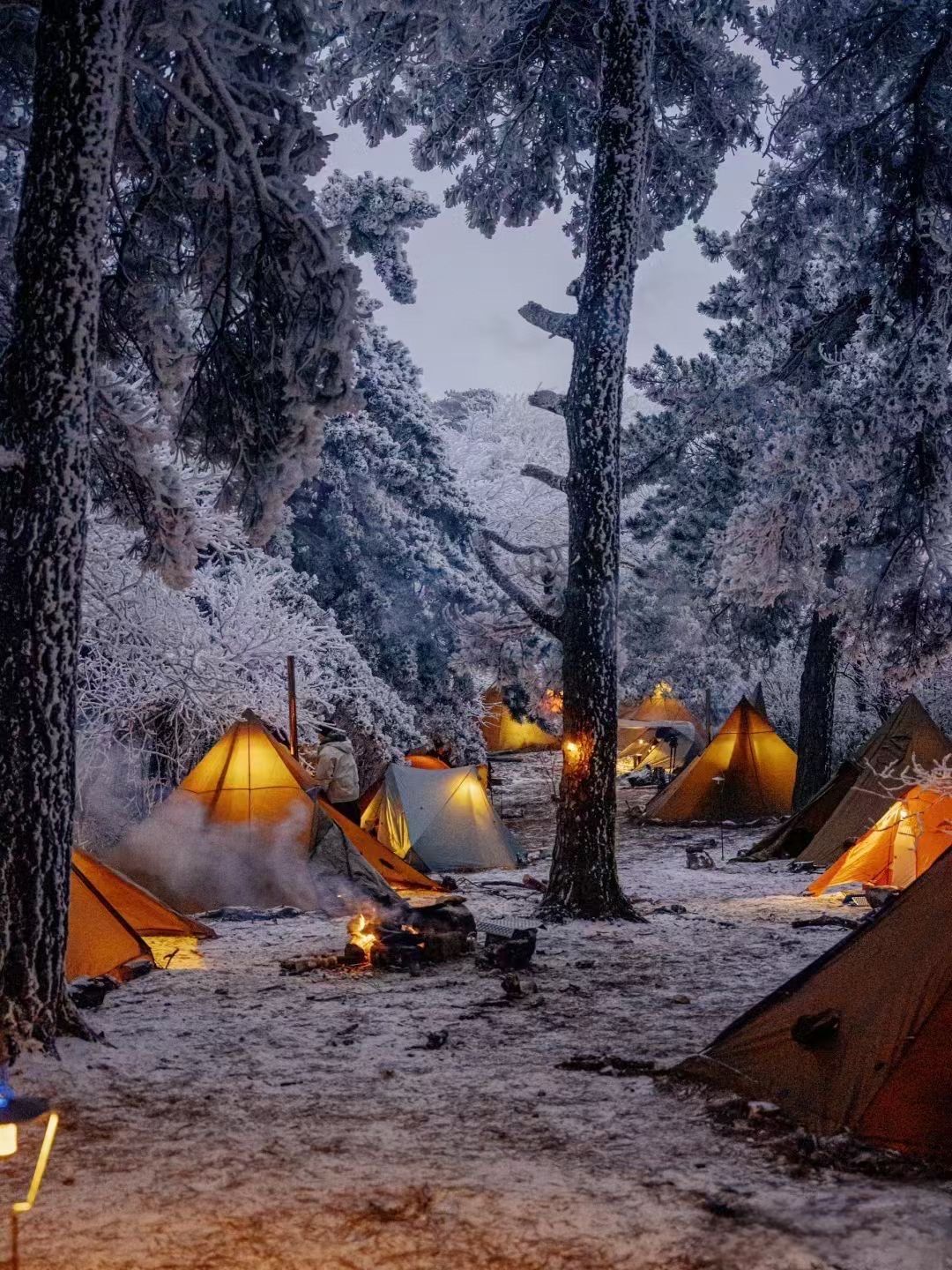 雪地里的树林露营记