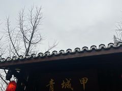 -青城甲(青城山店)