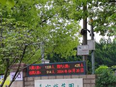 -嘉定紫藤园