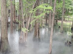 -东湖落雁景区