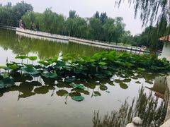 -丰台科技园生态主题公园