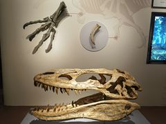 -自贡恐龙博物馆