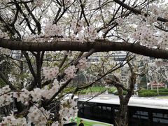 -上海南浦大桥长途旅游客运站