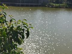 -朱仙镇启封故园景区