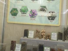 -北京中医药大学-中医药博物馆