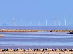 -南汇嘴观海公园