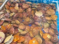 -海韵之星邮轮水会(明发商业广场店)