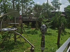 -新加坡飞禽公园