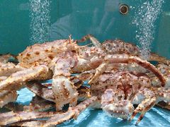 -阿伟海鲜楼·福建菜(延寿店)