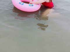 -碧海金沙