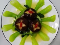 -好孕妈妈月嫂(哈尔滨总店)