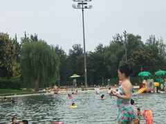 -柳浪游泳场