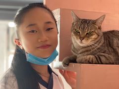 -猫儿山۰猫主题餐厅