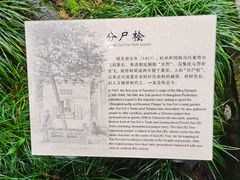 -岳王庙