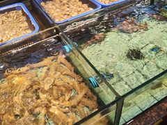 -新金盛·海鲜酒楼(盐田店)