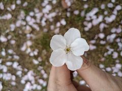 -南山植物园