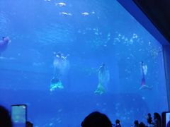 -南昌融创海世界