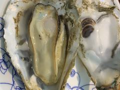 台山大蚝-飞尝蚝·顺德菜·鱼生(顺德总店)
