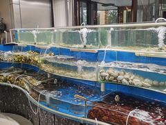 -四海蒸鲜蒸汽海鲜自助(北戴河店)