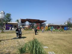 -上海长兴岛郊野公园