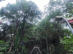 -老君山