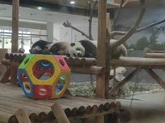 -西安秦岭野生动物园