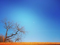 iphone_upload_pic-景山公园