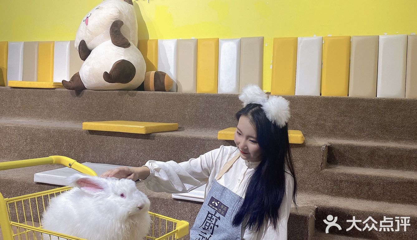 厦门首家小浣熊🦝+🐰新奇萌宠主题馆