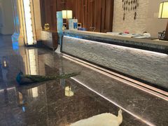 -西双版纳融创皇冠假日度假酒店