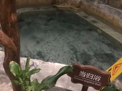-静之湖湖畔餐厅