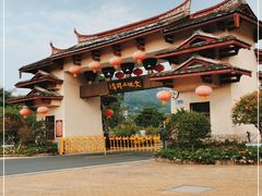 -福建土楼（华安）旅游区•大地土楼群