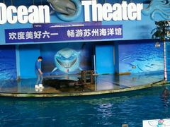 android_upload_pic-苏州海洋馆