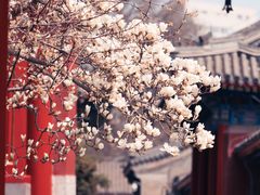 -北京艺术博物馆(万寿寺)