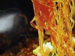 -老长沙湘菜馆(凤凰路店)