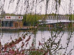 -大兴滨河森林公园