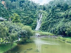 -水濂山森林公园