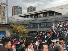 -颜氏双江清水鱼一养身火锅(磁器口店)