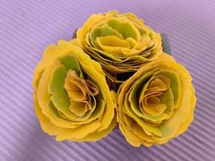 -辽宁大学(崇山校区)