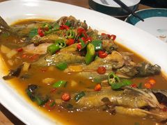 红烧汪刺鱼-7017浙菜•建德味(中财店)