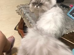 -王红军龙虾(新民路店)