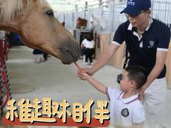 -金豆子幼稚园