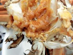 -小陆莲花蟹园农家乐(莲花岛店)