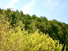 -佛慧山