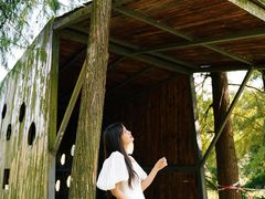 -南宁良凤江国家森林公园